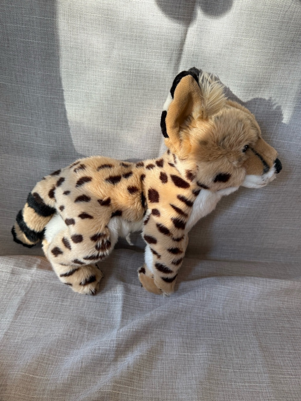 2017 SOS Save Our Space Serval Plush Rare Discounted – Collectible Big Cat - Picture 16 of 16